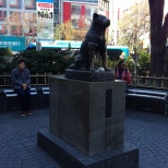 Hachiko. Someone left him a rice ball or something.